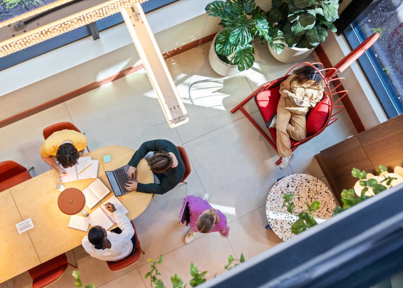 Aerial view of friends studying and working