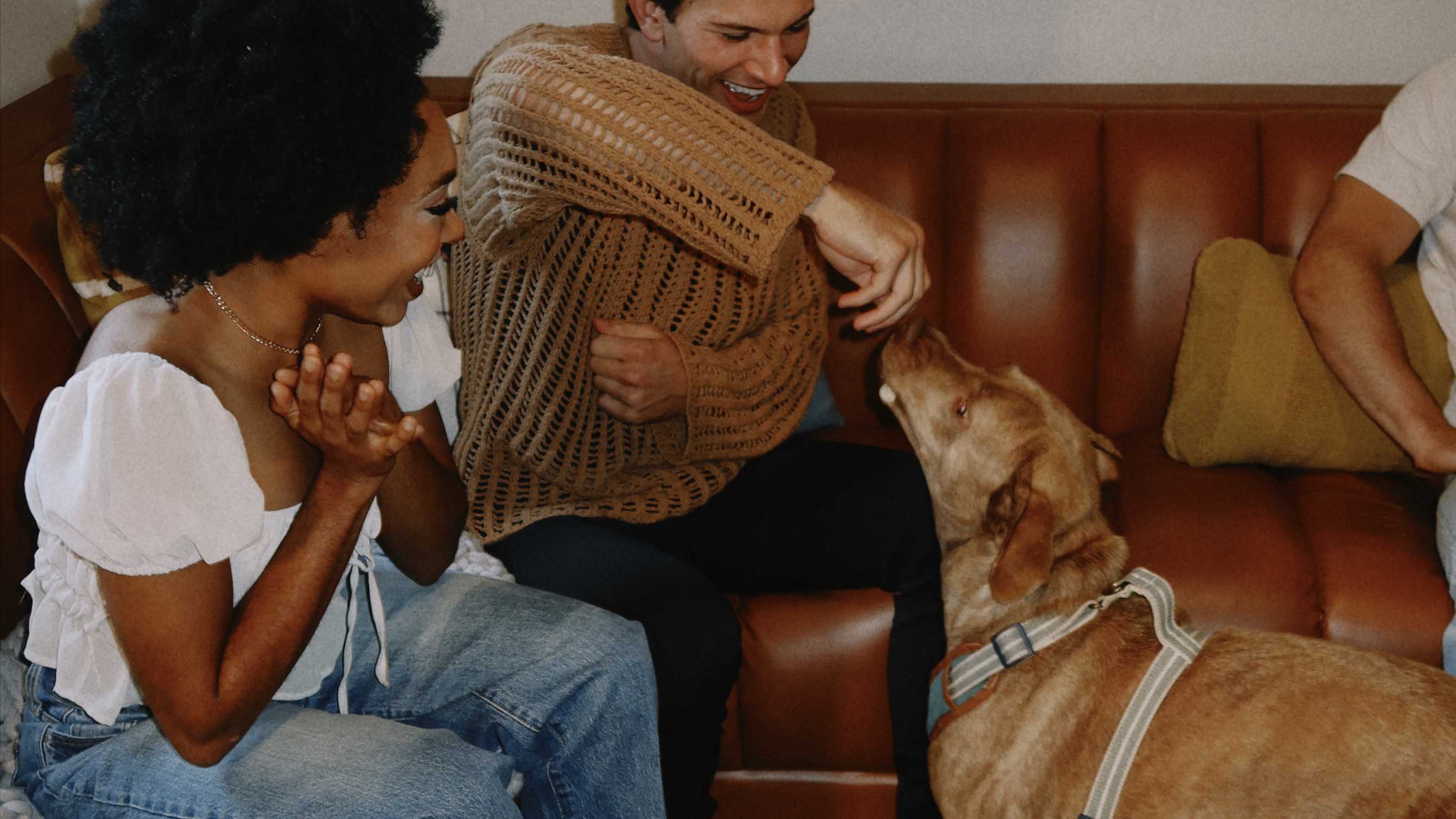 Two people playing with a dog