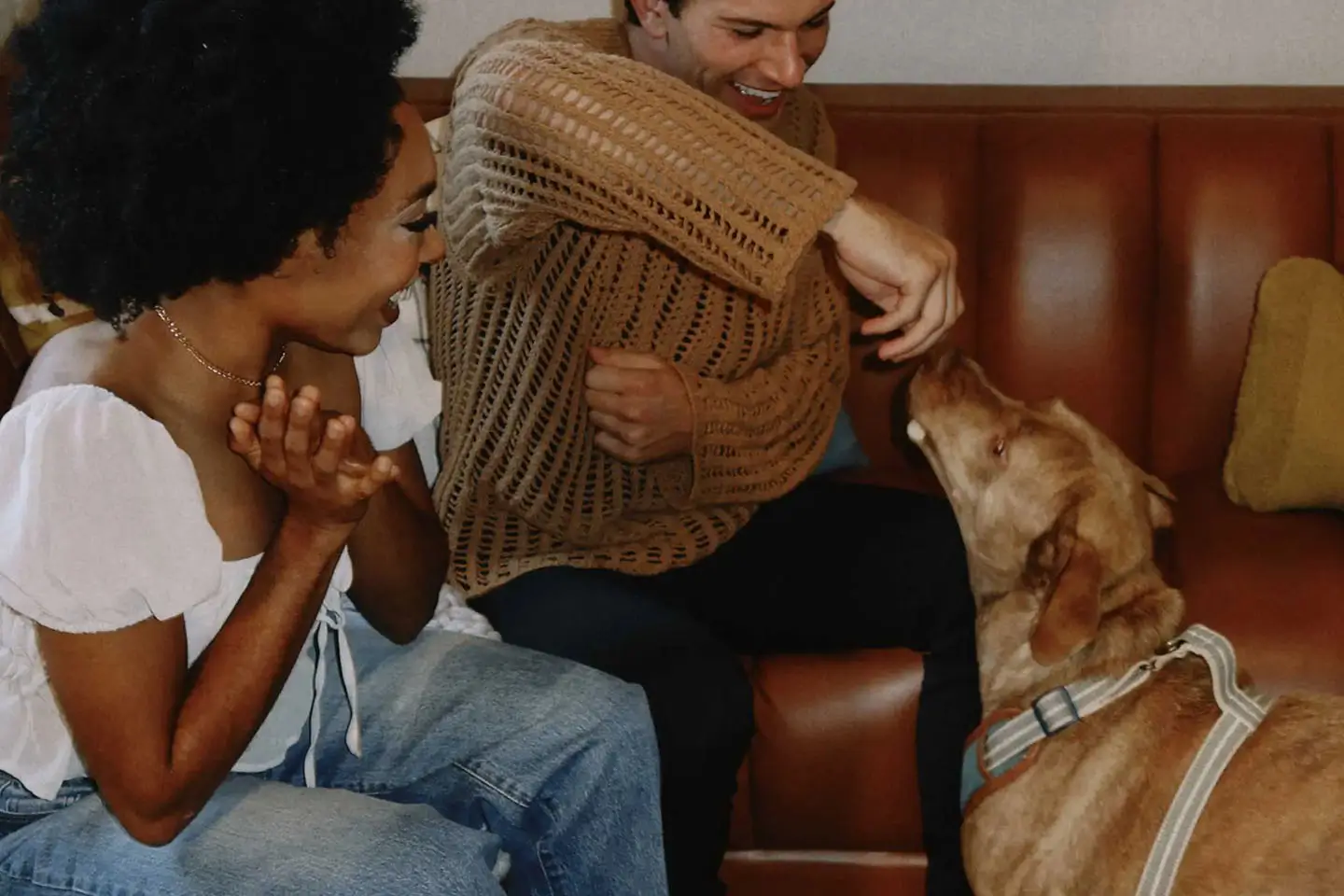 young adults playing with a pet dog
