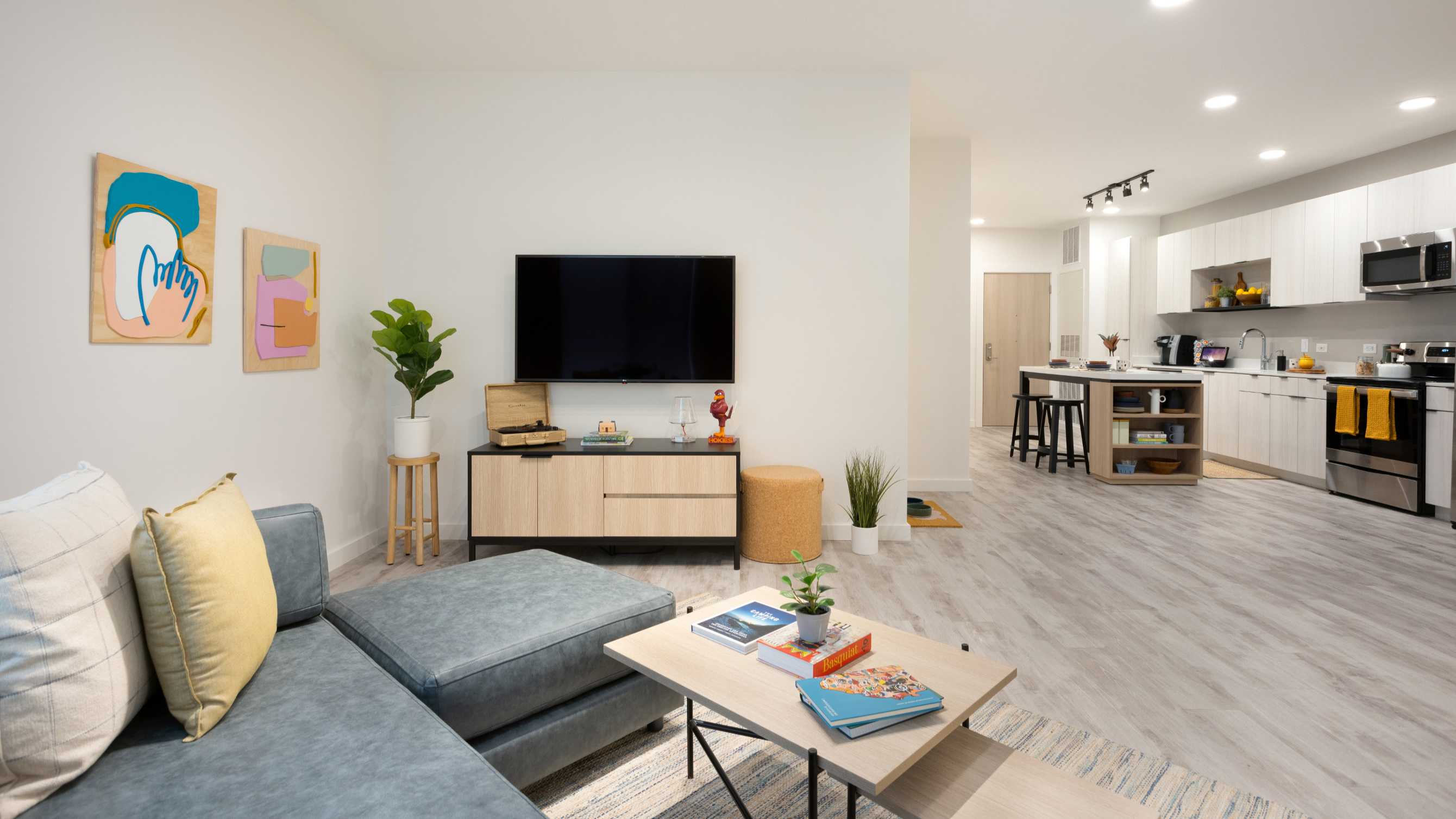 Living room with gray couch and a TV