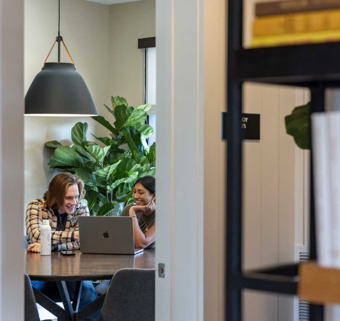 Two friends talking and looking at a laptop