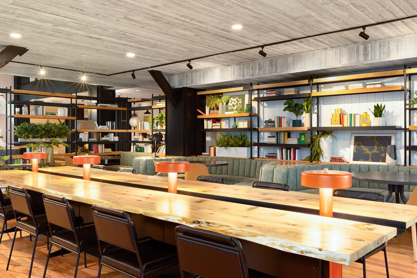 Communal study tables with individual lamps and library shelving