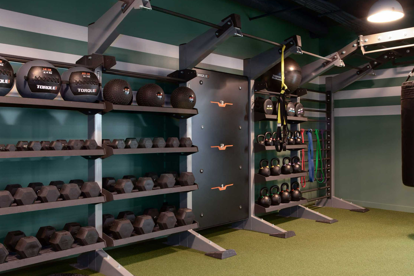 Fitness center with various types of free weights.
