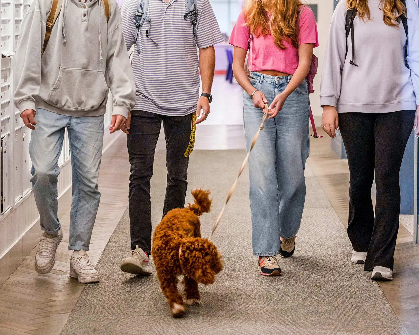 residents and dog
