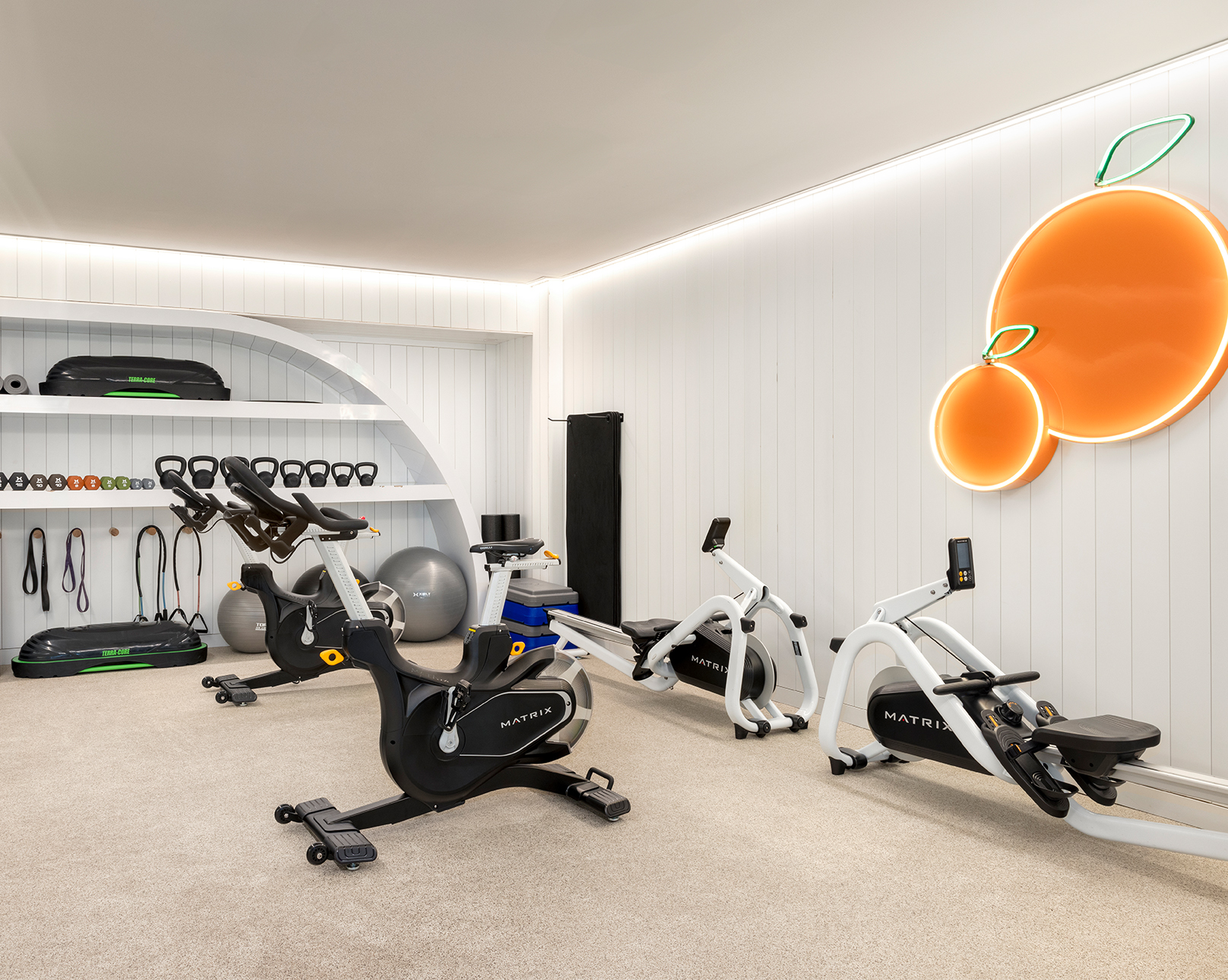 A state-of-the-art fitness center