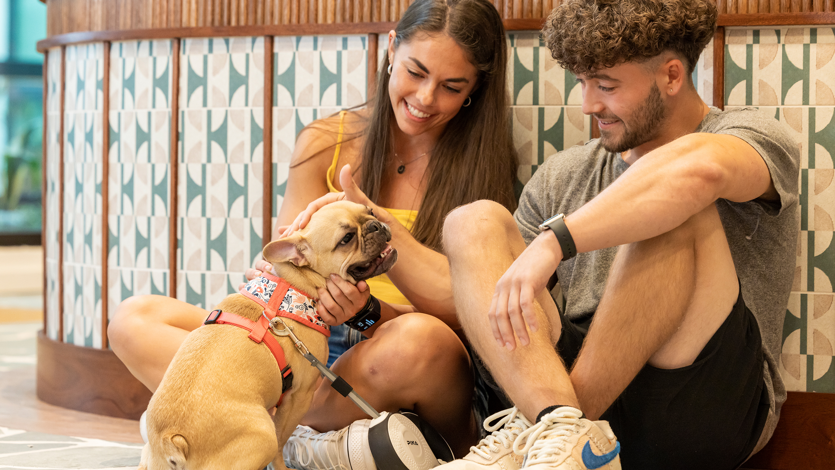 Friends petting a small dog