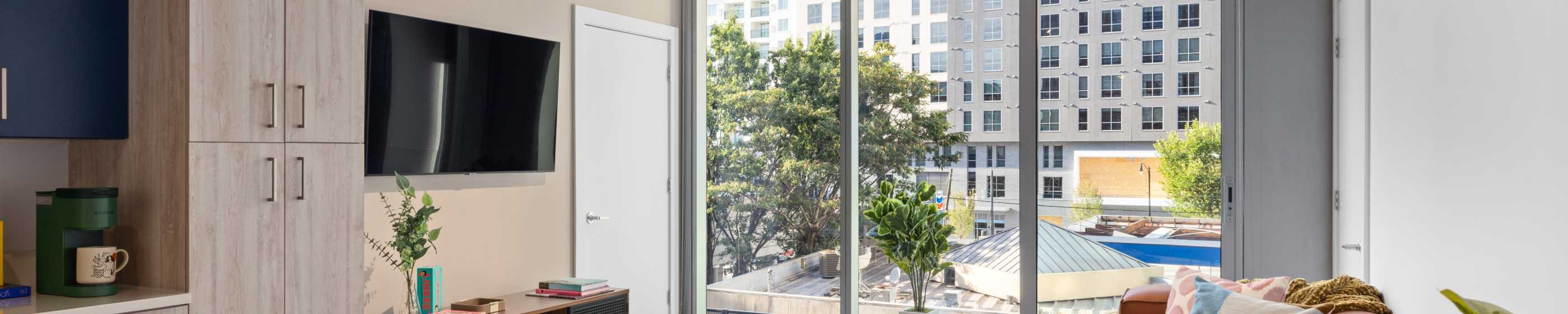 Large window overlooking lush green trees