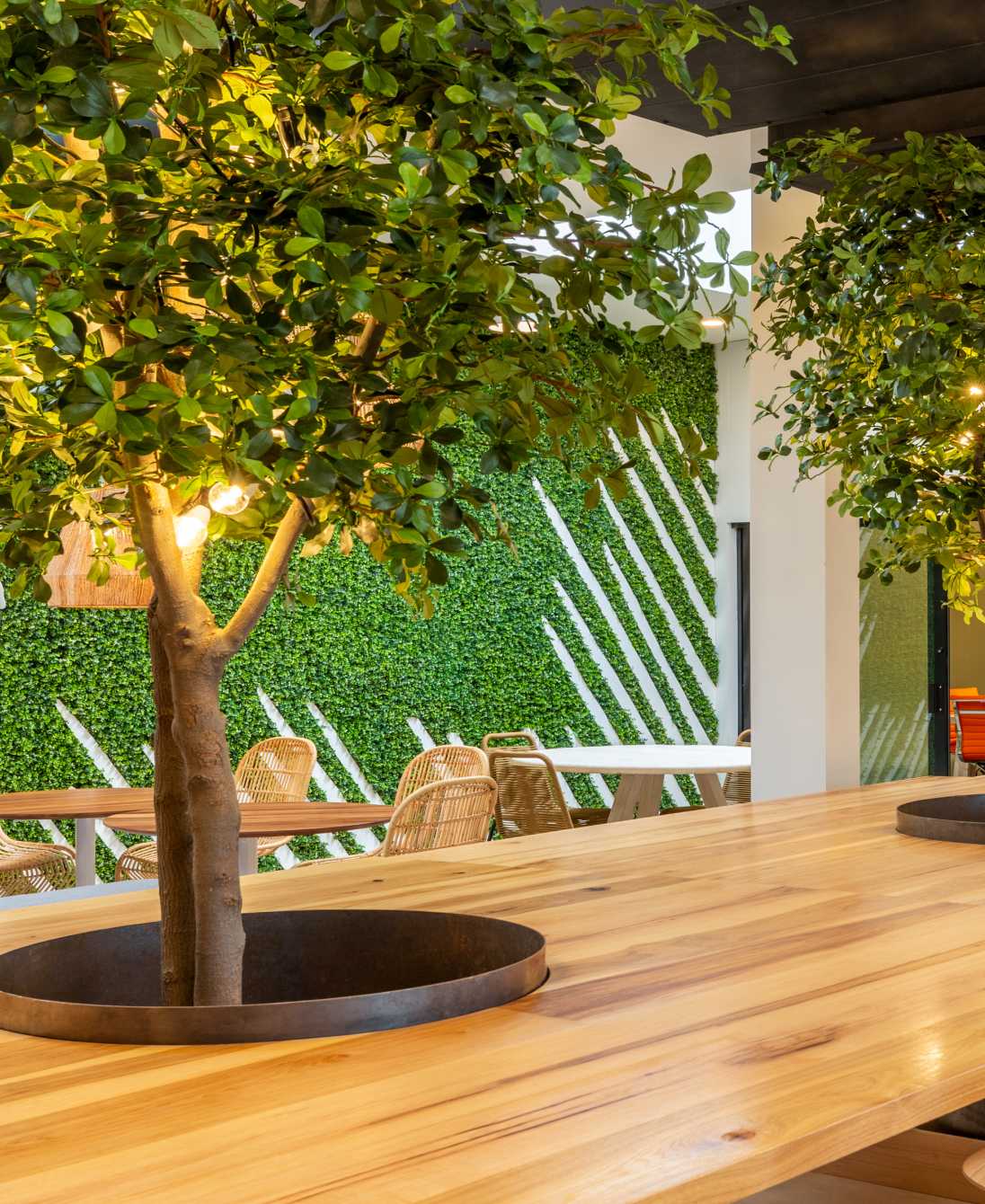 Decorative trees inside a lobby area