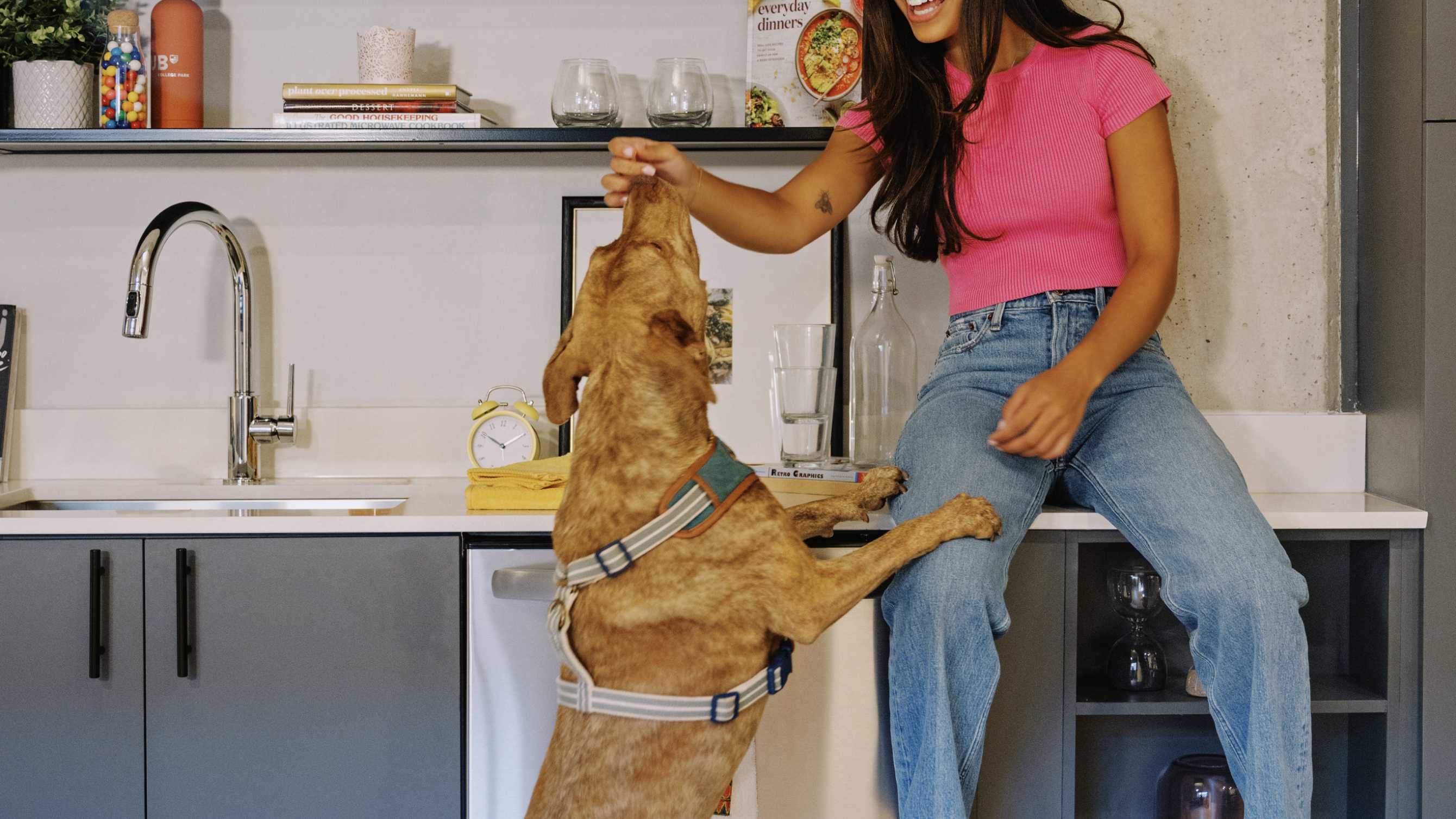 A woman playing with a dog