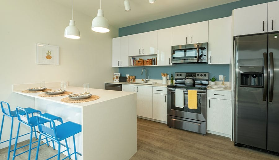 Premium Stainless-Steel Appliances Including Stove, Oven, Microwave, Dishwasher and Refrigerator