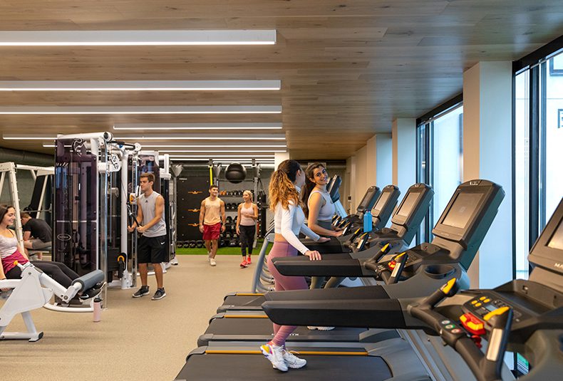Fitness Center Hub On Campus Gainesville University