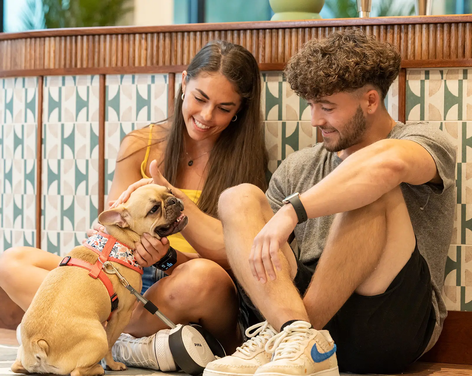 two people petting a small dog