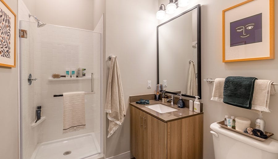 Walk-In Showers with Glass Enclosure