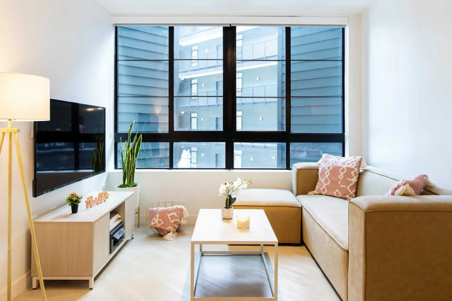 furnished living room with TV