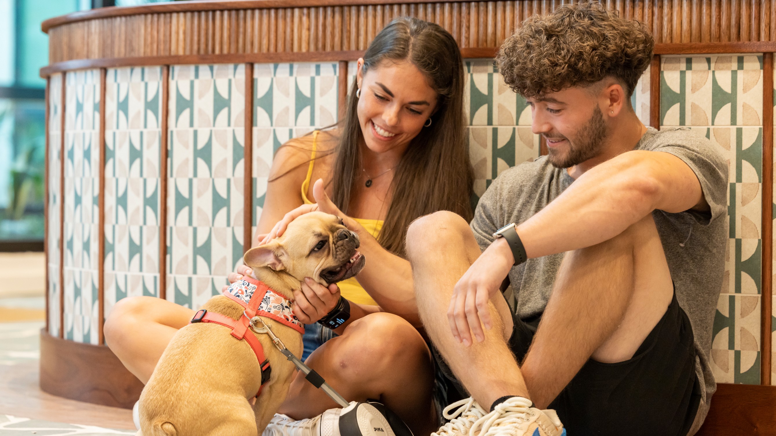 Two friends smiling and petting a small dog