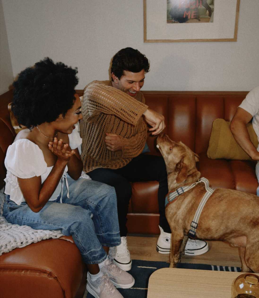 Two people playing with a dog