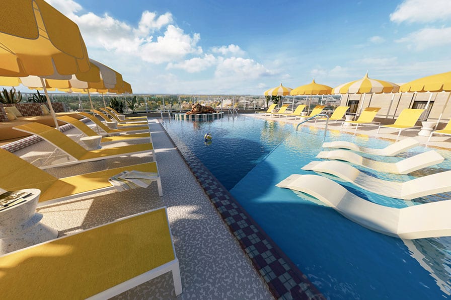 Rooftop Pool