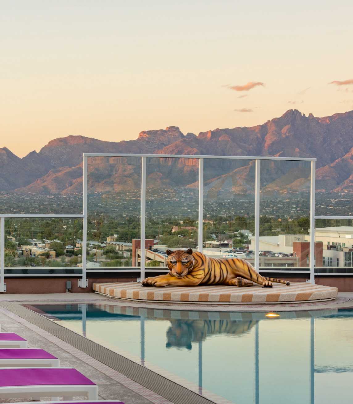 rooftop pool