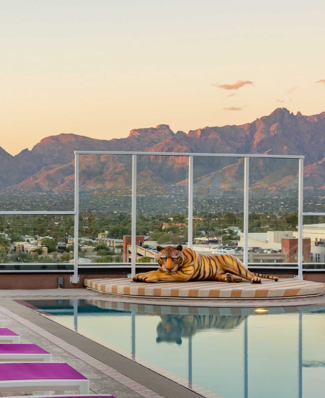 rooftop pool