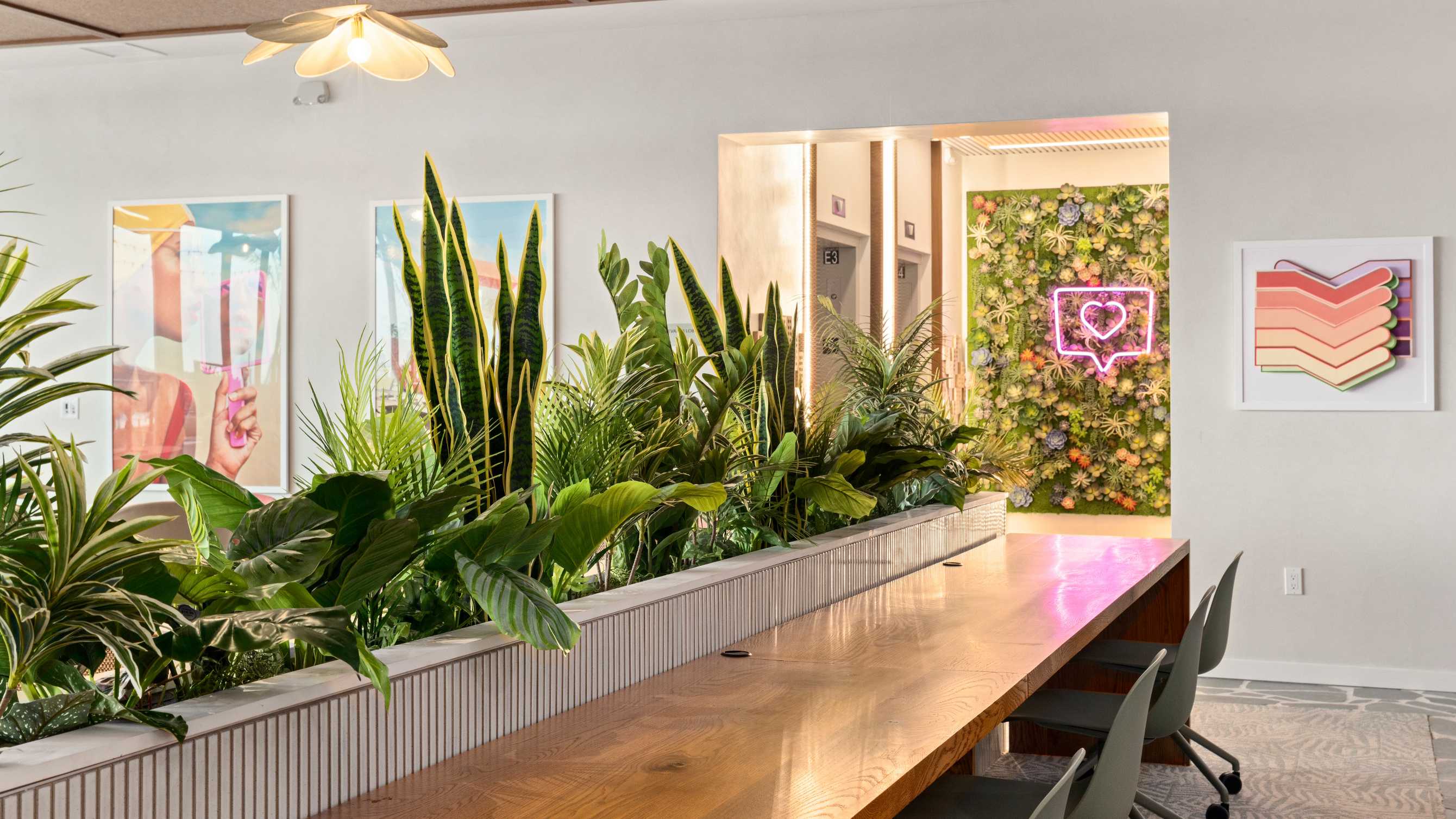 A common area filled with plants