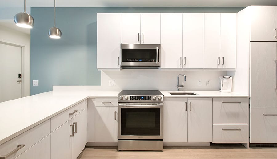 Upgraded, Integrated Appliances in Kitchens