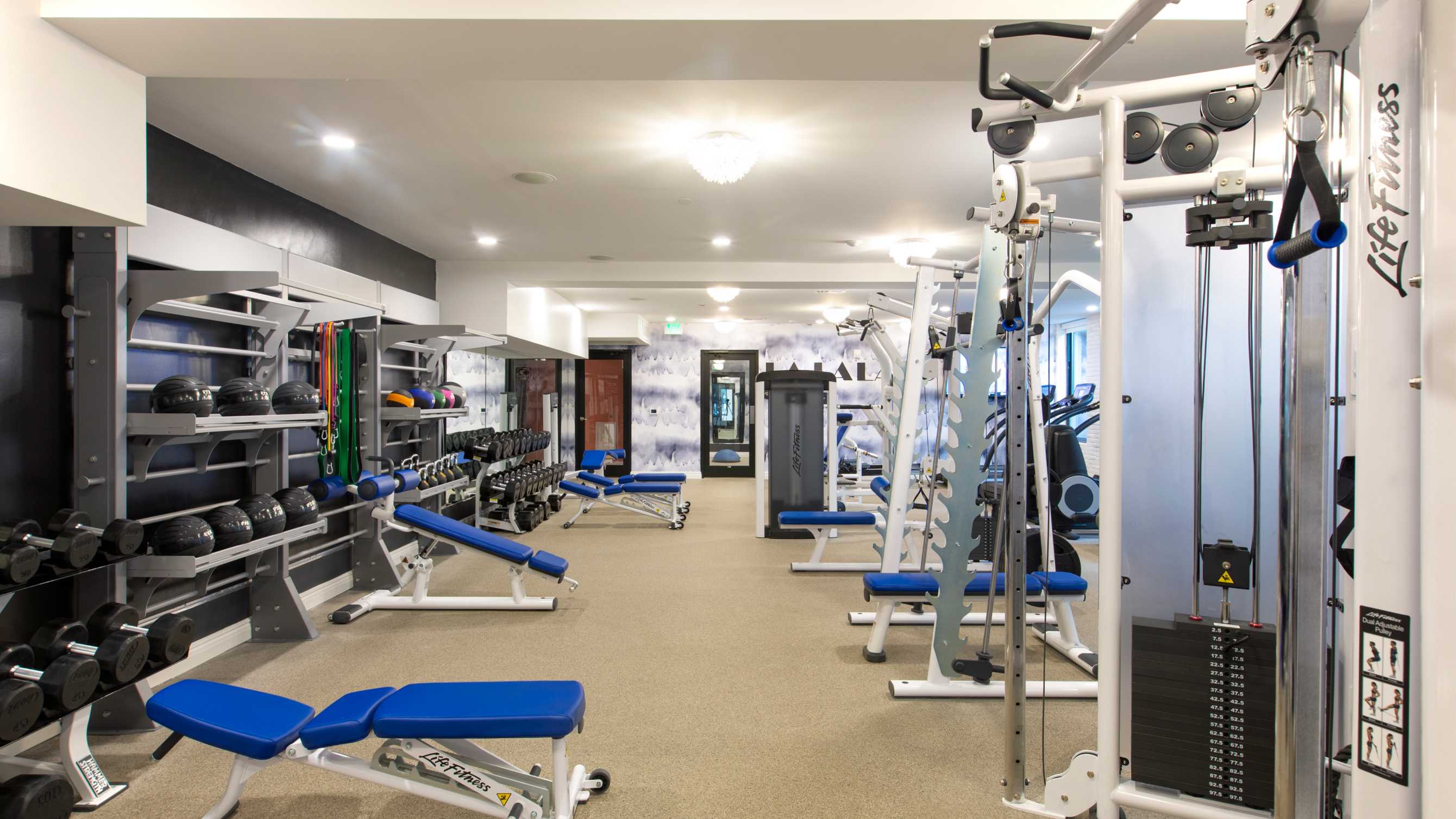 A state-of-the-art fitness center