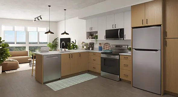 Furnished kitchen