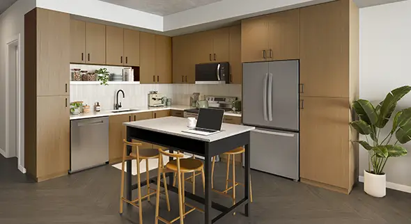 Furnished kitchen