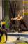 Woman using exercise equipment in a gym