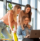 Three women smiling and looking at a laptop